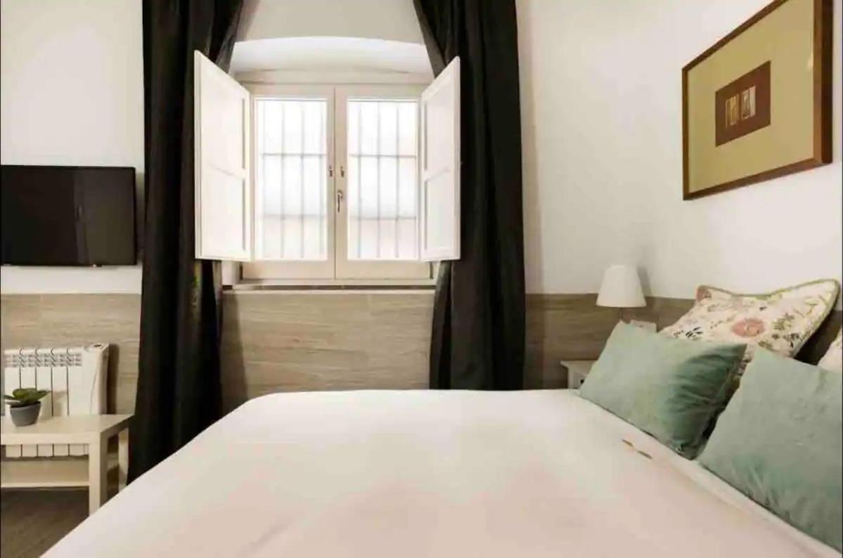 Apartment Bonito Loft San Miguel Centro Catedral Wifi